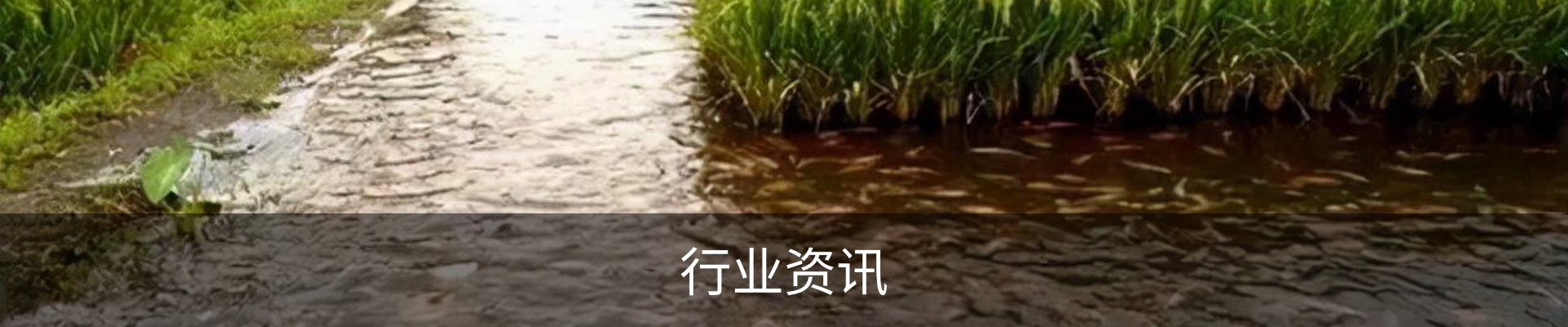 行业资讯